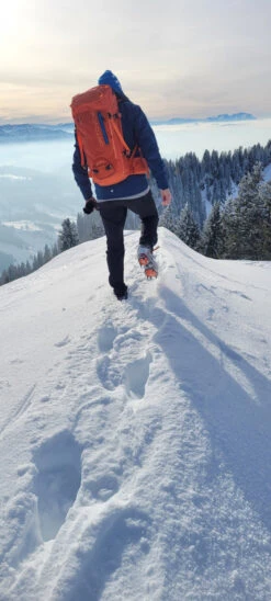 Ortovox - Peak 35 - Sac à Dos De Montagne -Sac À Dos Série ortovox peak 35 tourenrucksack 479eeaaef0ad34f8d4b20e458b7c94a1 1